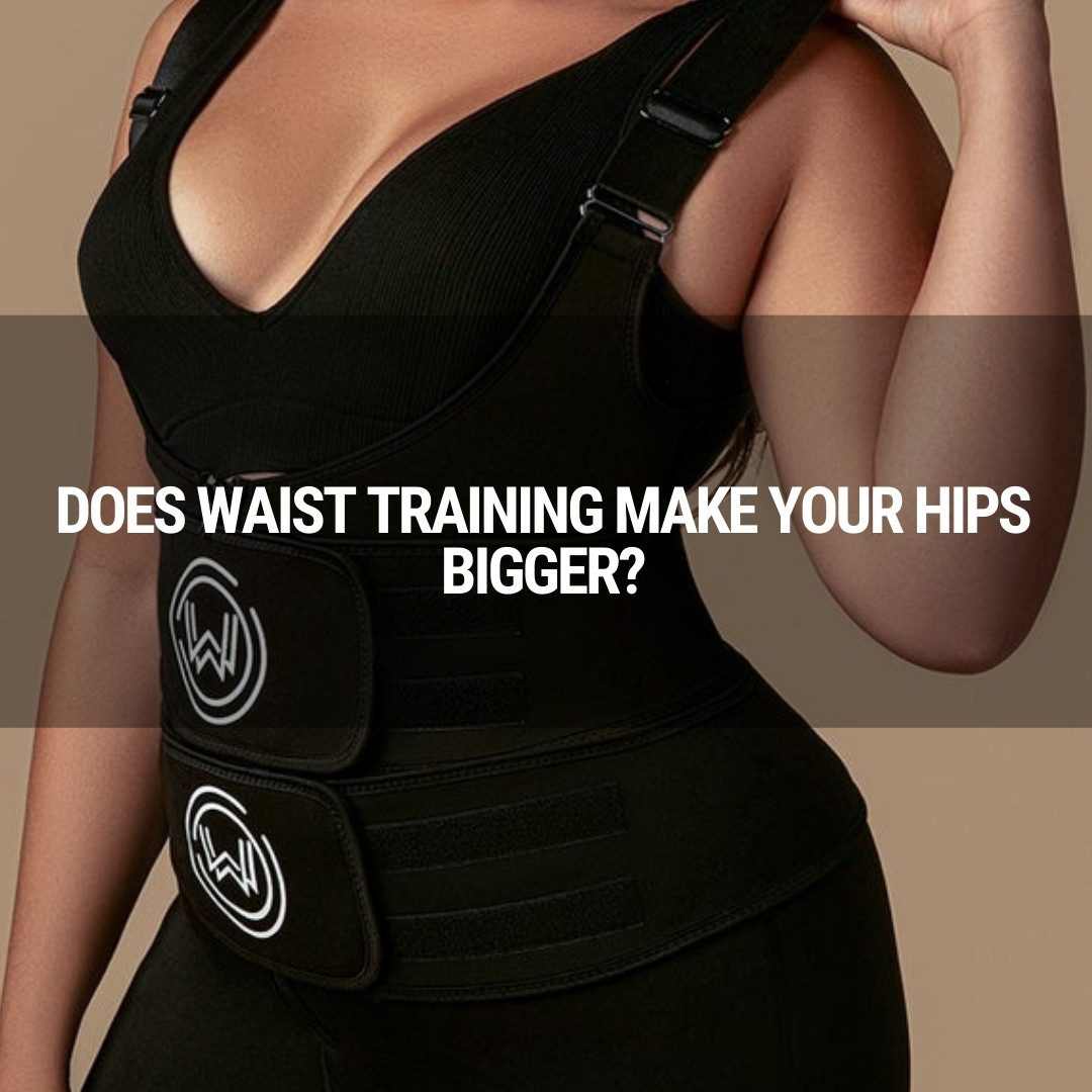 Does Waist Training make your Hips Bigger?